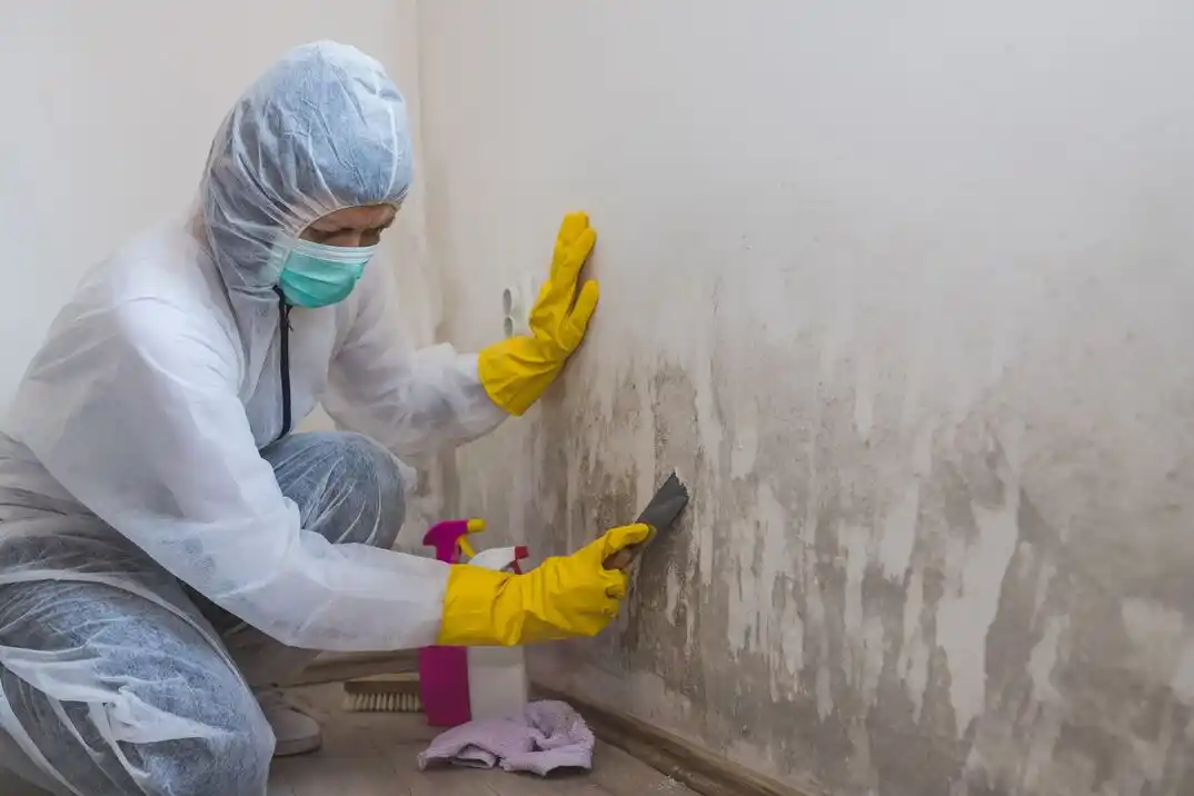 water damage restoration service North Linden